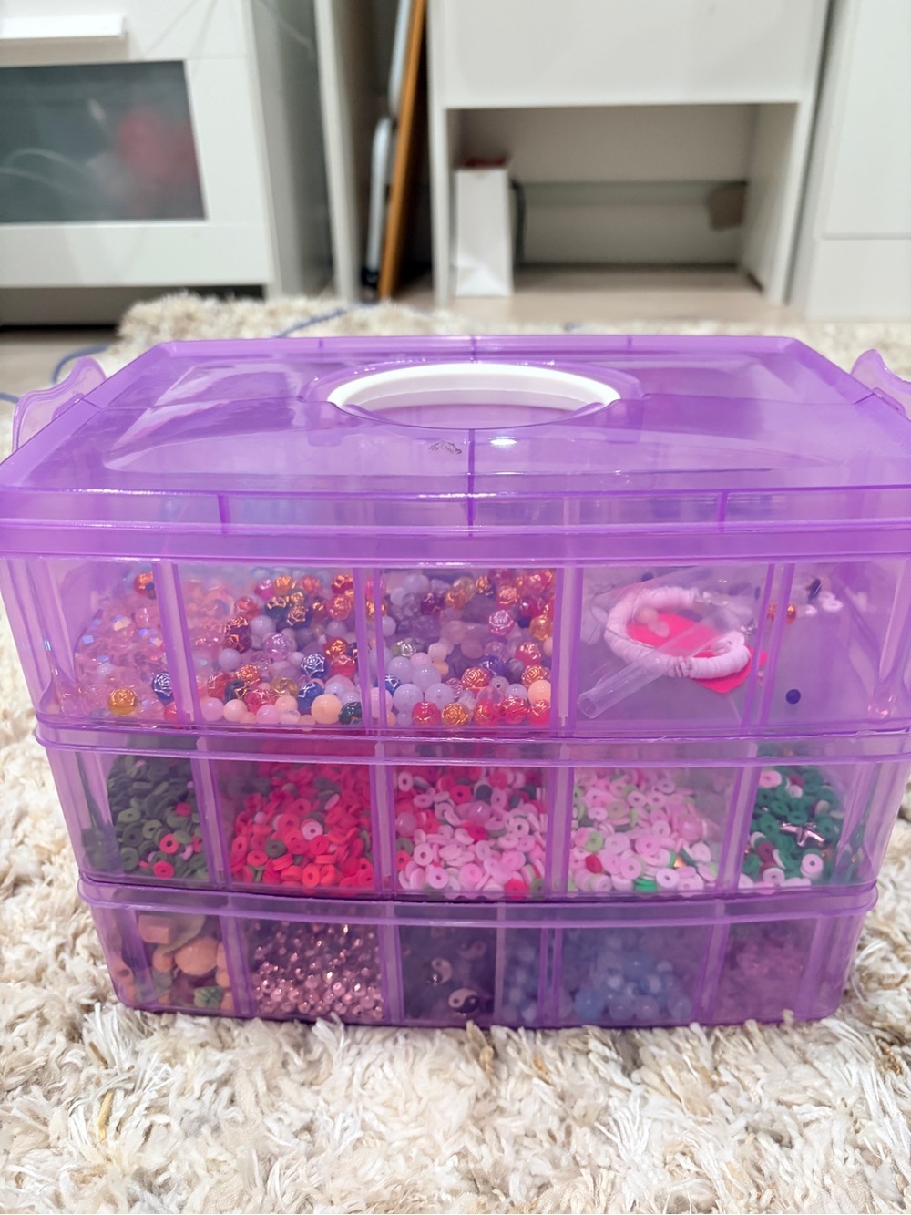Purple Multi-Compartment Jewelry & Craft Bead Organizer